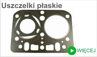 producent uszczelnień płaskich techniczne uszczelki hydraulika siłowa Polska